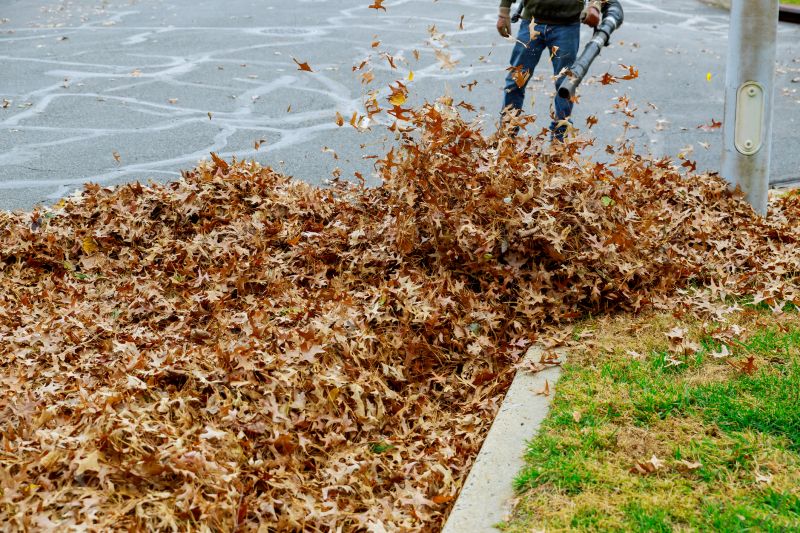 Leaf Blower in Action