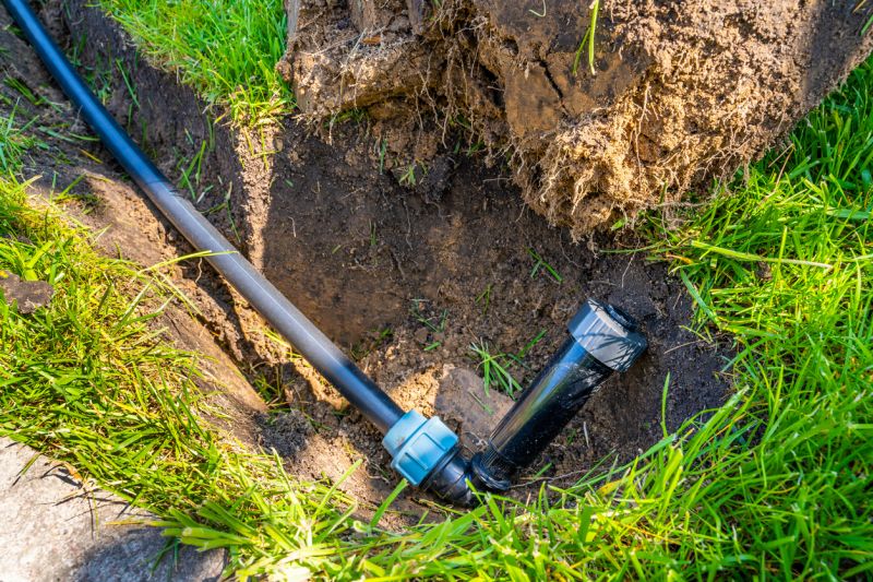 Grass Repair