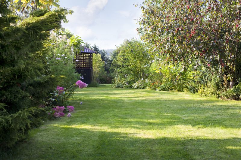 Lawn Landscaping
