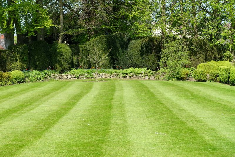 Lawn Restoration
