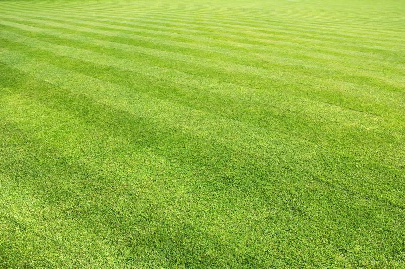 Healthy Lawn Results