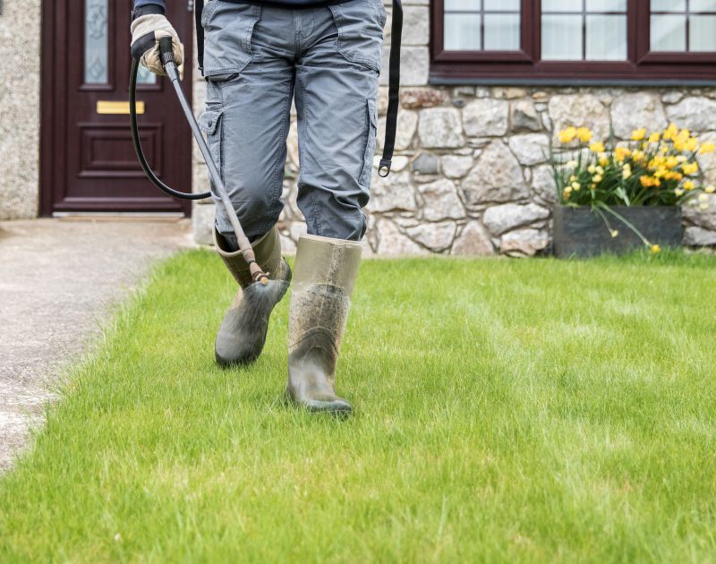 Professional Service