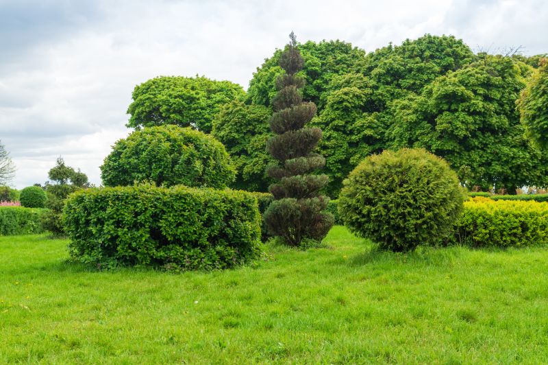 Shrub Installation