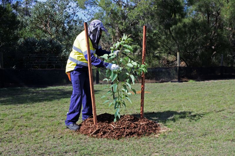 Tree Planting Service