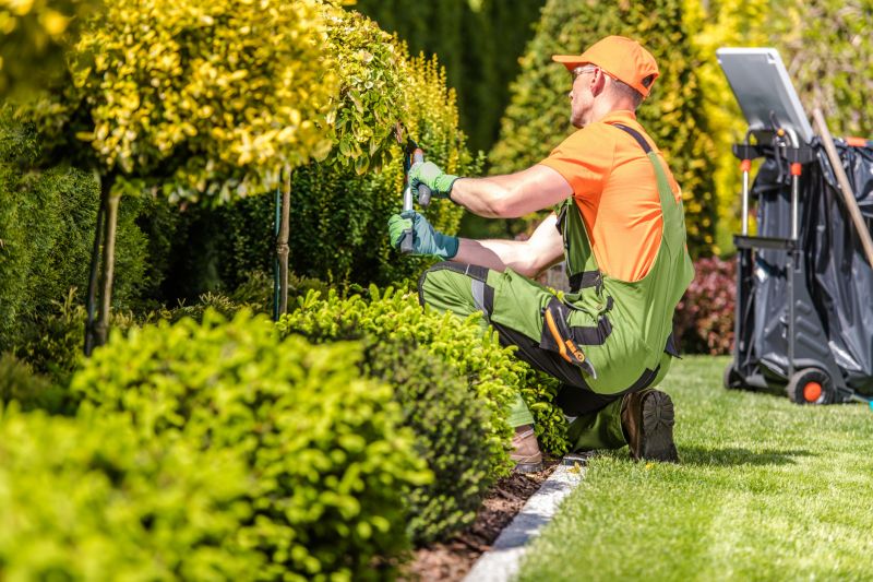 Garden Renovation Experts