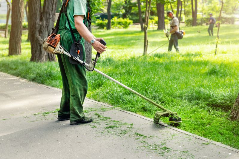 Yard Landscaping Service