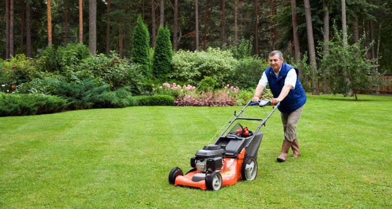 Yard Landscaping Service