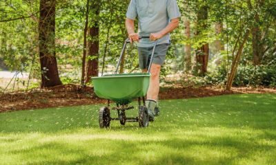 Lawn Seeding Services